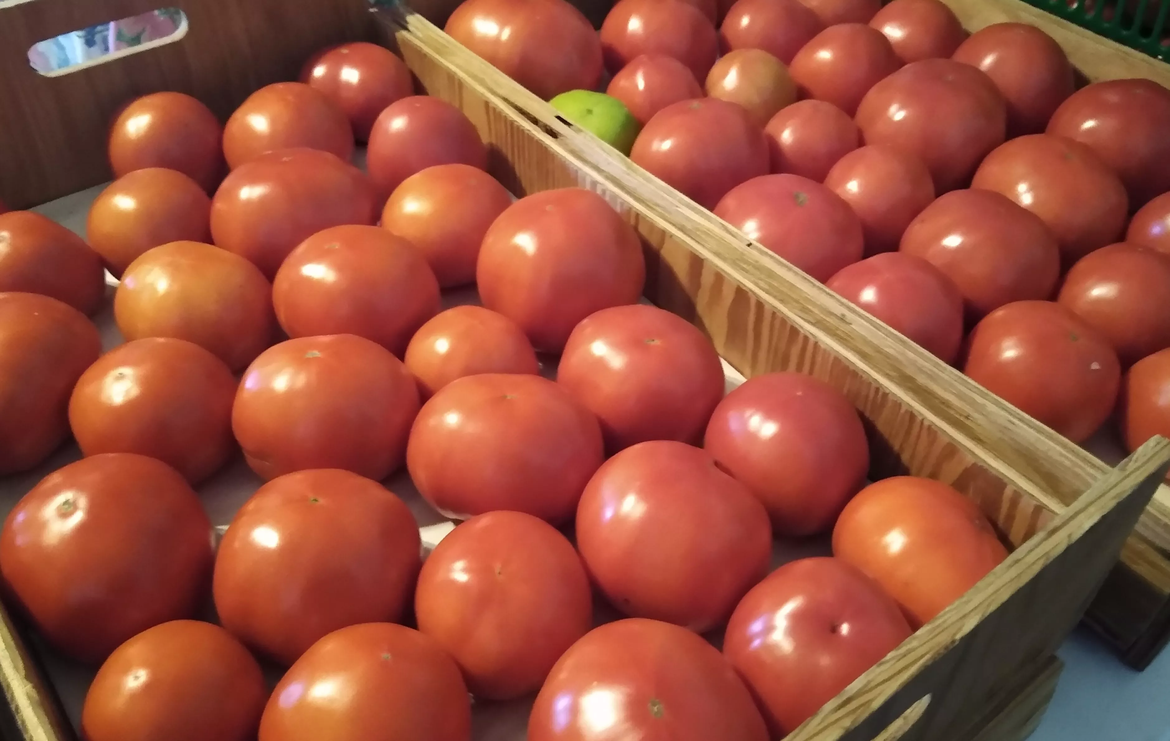 Message from Clover Hilltop Farm on Market Wagon